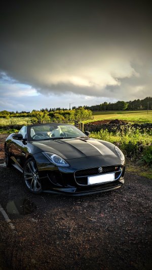 IMG_20200621_203827~2.jpg IMG_20200621_203827~2.jpg