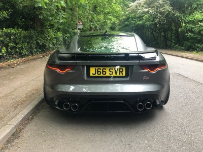 024DBD4C-E3F0-41A1-8B08-B60D842698E0.jpeg 024DBD4C-E3F0-41A1-8B08-B60D842698E0.jpeg