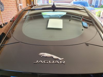 20201007_134247.jpg 20201007_134247.jpg