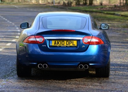 dsc_0081-1000.jpg dsc_0081-1000.jpg