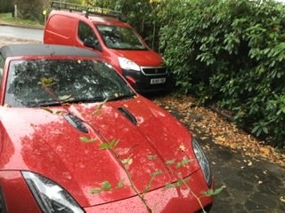 C7304653-2364-4C5E-B6BE-44908EAC6C79.jpeg C7304653-2364-4C5E-B6BE-44908EAC6C79.jpeg