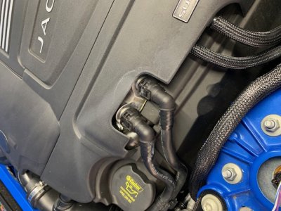 7D313F73-7A6B-4962-A06E-F3B87702157C.jpeg 7D313F73-7A6B-4962-A06E-F3B87702157C.jpeg