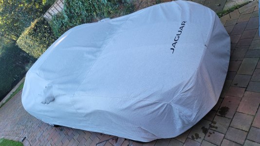 2020-11-26 11.17.47.jpg