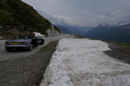 P1000250 (Medium).JPG