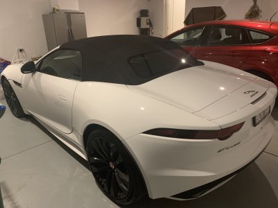 380A3C0D-8E19-4E2E-A241-2A0267C1EF69.jpeg 380A3C0D-8E19-4E2E-A241-2A0267C1EF69.jpeg