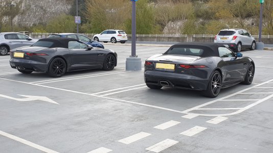 20210502_115611[3967] - Copy.jpg