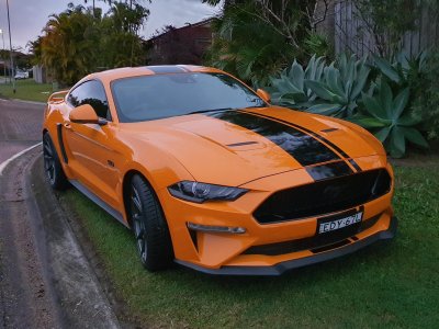 mustang.jpg mustang.jpg