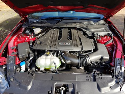 20211014_120208.jpg 20211014_120208.jpg