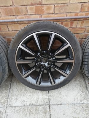 IMG_20200610_102923.jpg IMG_20200610_102923.jpg