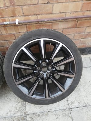 IMG_20200610_102926.jpg IMG_20200610_102926.jpg