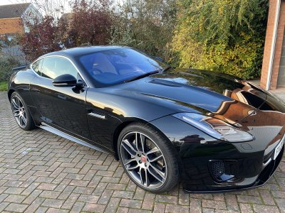 7DEE52A3-B49E-47B5-98D1-15C072B3D486.jpeg 7DEE52A3-B49E-47B5-98D1-15C072B3D486.jpeg