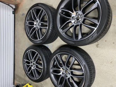 IMG_2956.JPG IMG_2956.JPG