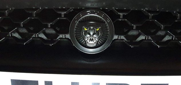 Black growler.jpg Black growler.jpg