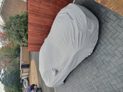 20211024_164619.jpg 20211024_164619.jpg