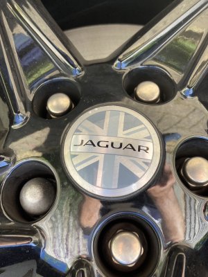 D315738E-C681-41F9-91D0-6CF4AA8E7C8D.jpeg D315738E-C681-41F9-91D0-6CF4AA8E7C8D.jpeg