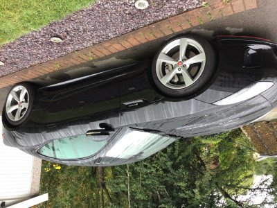 9BA1190E-5FEE-4E49-83C4-8860E2FE7920.jpeg 9BA1190E-5FEE-4E49-83C4-8860E2FE7920.jpeg