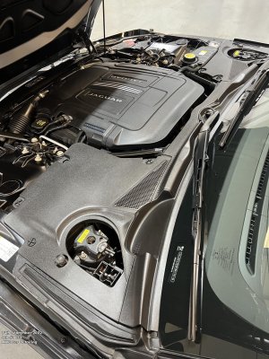 799F835D-F070-4F0D-959A-68EAFD706F17.jpeg 799F835D-F070-4F0D-959A-68EAFD706F17.jpeg