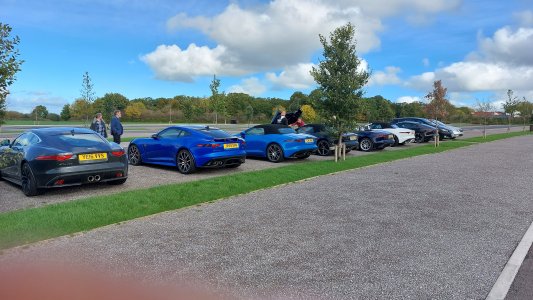 jagme14.jpg jagme14.jpg