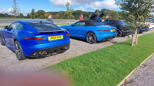 jagme17.jpg jagme17.jpg