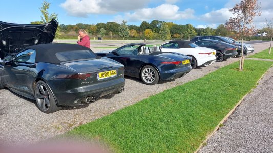 jagme18.jpg jagme18.jpg