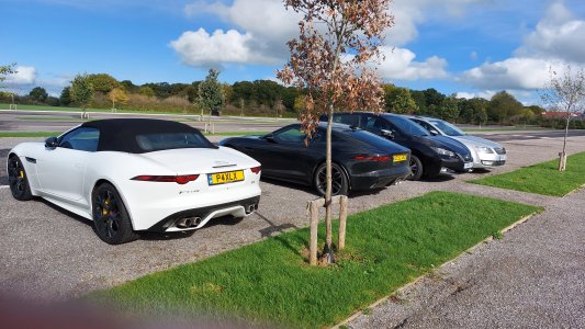 jagme19.jpg jagme19.jpg