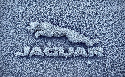 WhatsApp Image 2022-12-16 at 12.17.52 PM.jpeg