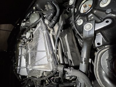 56225518-C236-452B-AAEF-F22E3907A5A9.jpeg 56225518-C236-452B-AAEF-F22E3907A5A9.jpeg