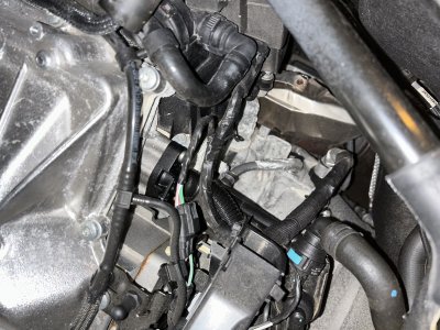 12B8AAB4-FCA0-4BB3-BDDD-F3F62E9DE7BA.jpeg 12B8AAB4-FCA0-4BB3-BDDD-F3F62E9DE7BA.jpeg