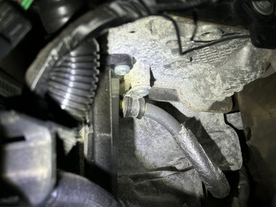 F55F535B-8950-43B8-BCCC-7878D4C81DBB.jpeg F55F535B-8950-43B8-BCCC-7878D4C81DBB.jpeg