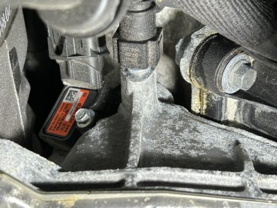 B4A9B1E0-C64B-4D55-8BFF-BBA9FD9EA460.jpeg B4A9B1E0-C64B-4D55-8BFF-BBA9FD9EA460.jpeg