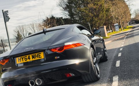 IMG_0855.jpeg IMG_0855.jpeg