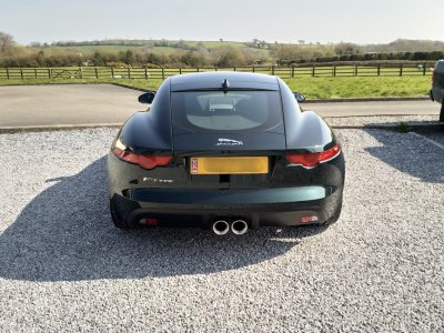 IMG_0561.jpeg IMG_0561.jpeg