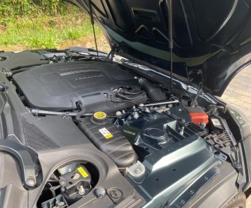 IMG_3076.jpeg IMG_3076.jpeg