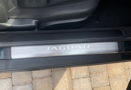 IMG_3073.jpeg IMG_3073.jpeg