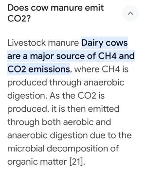 IMG_2319.jpeg IMG_2319.jpeg