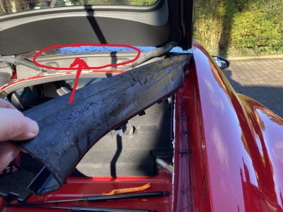 CDB24DC6-2706-4A78-9394-9C27D420B17D.jpeg CDB24DC6-2706-4A78-9394-9C27D420B17D.jpeg