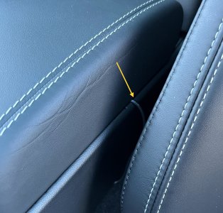 IMG_3452.jpeg IMG_3452.jpeg