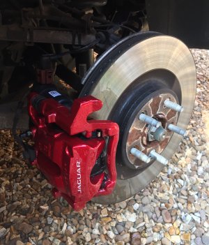 IMG_3847.jpeg IMG_3847.jpeg