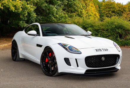 IMG_1018.jpeg IMG_1018.jpeg