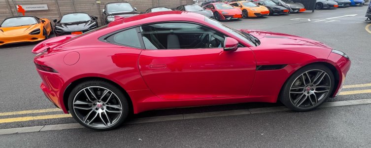 IMG_6183.jpeg IMG_6183.jpeg