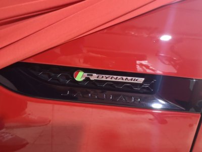 IMG_20240216_095430.jpg IMG_20240216_095430.jpg