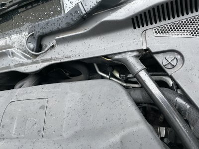 IMG_1950.jpeg IMG_1950.jpeg