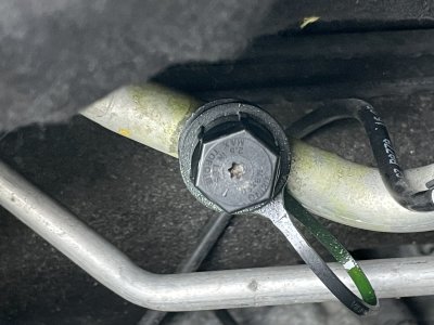 IMG_1948.jpeg IMG_1948.jpeg