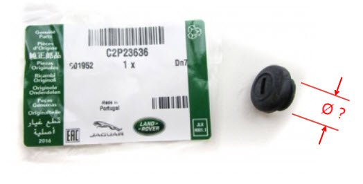 Bumper.jpg Bumper.jpg