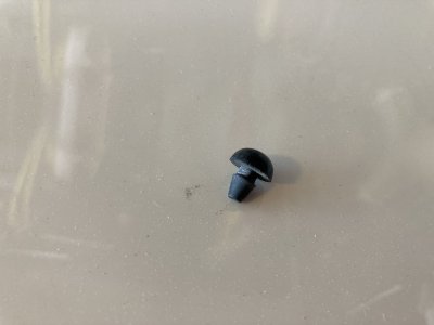 IMG_1285.jpg IMG_1285.jpg