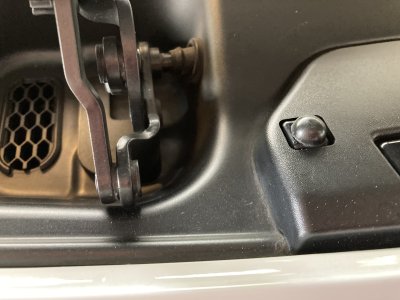 IMG_1288.jpg IMG_1288.jpg