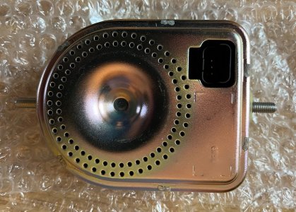 IMG_3524.jpeg IMG_3524.jpeg