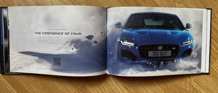 IMG_4099.jpeg IMG_4099.jpeg