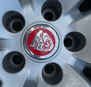 IMG_4080.jpeg IMG_4080.jpeg