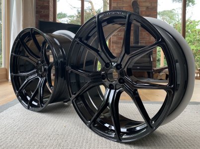 IMG_7746.jpeg IMG_7746.jpeg